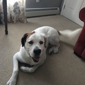 Meet your Posher, Paula